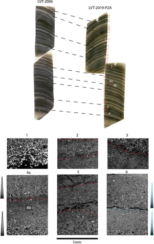 Figure 6. Top: Stratigraphic matching between thin sections from 2006 at mooring C and this study (LVT-P2A; 77.6 to 88.7 cm). Red lines show varve boundaries. Bottom: Scanning electron images of the different lamination/varve found in Linnévatnet. Red lines in the top right image indicate varve boundaries; the blue cyan dashed line in the bottom right image shows an example of a successive layer within one varve year.