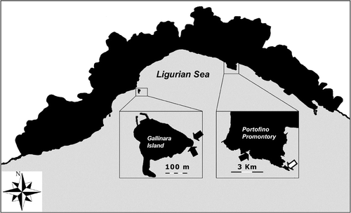 Figure 1. Map of the studied areas. Black arrows indicate the position of the populations visited in the present work. White arrow indicates the population monitored for three years.