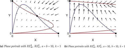 Figure 9. Phase portraits demonstrating that a globally more tolerant minority population can eliminate a stable mixed state.