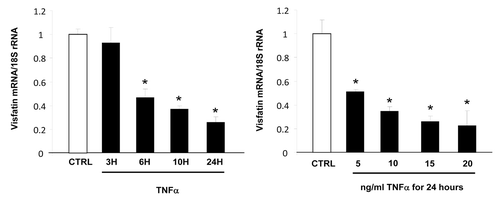 Figure 1. Time- and dose-dependent effects of TNFα on visfatin mRNA levels in 3T3-L1 adipocytes. Cells were harvested after treatment with TNFα at 15 ng/mL for 3, 6, 10, and 24 h or at 5, 10, 15, and 20 ng/mL for 24 h. Quantification of visfatin mRNA levels by real-time RT-PCR. Visfatin data were normalized to 18S rRNA.