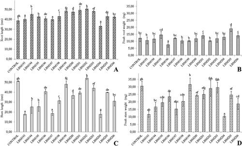 Figure 5. Root length (A), fresh root weigth (B), stem length (C) and fresh stem weigth and of Lycopersicum esculentum plants under the influence of Trichoderma spp. treatments. Different letters up to the bars indicate statistically significant differences (p˂0.05). Trichoderma codes: T. asperelloides: LBM 193, LBM 194, LBM 195, LBM197, LBM 198, LBM 204 and LBM 206; T. asperellum: LBM 199 and LBM 203; T. strigosellum: LBM 196, LBM 201 and LBM 205; T. hamatum: LBM 200 and Trichoderma sp.: LBM 202.