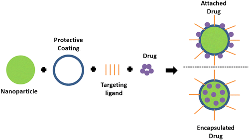 Figure 3. Schematic of drug loading options in targeted drug delivery.