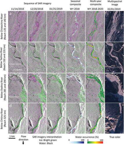 Figure 13. Examples of the freeze-up progression and open water occurrence along distinct stretches of the Copper River with Sentinel-1 SAR imagery and Sentinel-2 multispectral imagery (European Space Agency). The sequence of SAR imagery from three winter dates in WY 2018 are composites that include an autumn scene (open water prior to freeze-up) and a winter scene (red: VV autumn, green: VV winter, blue: VV autumn) and were used to optimize visualization of open water (black) and ice cover (bright green). The seasonal composite is a classified SAR product showing pixel-based water occurrence as a percentage of scenes for the season November to February in WY 2018, overlain on a SAR image. The multiyear composite shows the average water occurrence for November to February over three years (WYs 2018, 2019, 2020) to identify places that tend to remain open late in the winter year after year. The multispectral image (Sentinel-2) was used to calculate late-winter open water area and validate SAR imagery and products.