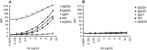 Figure 1: N297A did not bind to Fc gamma receptors. (A) RAW264.7, a mouse macrophage cell line which highly expresses Fcγ receptors, and (B) 3T12, a non-Fcγ receptor-expressing mouse cell line, were used to analyze binding of antibodies. Serial dilution of mouse antibodies IgG2a (□), IgG2b (▴), IgG1 (▾), WT (•) and N297A (○) were incubated with the cells for 20 minutes on ice. After washing, samples were incubated with secondary APC-conjugated goat anti-mouse IgG, F(ab′)2 fragment specific antibody (2.5 μg/ml) for detection by flow cytometry.