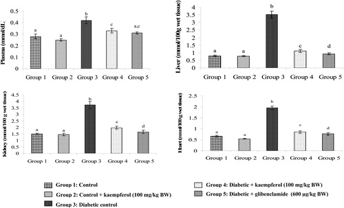 Figure 3. Effect of kaempferol on TBARS in the plasma and tissues of STZ-diabetic rats. Values are given as means ± SD from six rats in each group. Values not sharing a common superscript differ significantly at P < 0.05. DMRT.