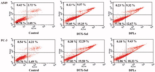 Figure 5. Flow cytometry plots of A549 cells and PC-3 cells treated with DTX-Sol and DPLs for 24 h, stained with Annexin V/PI, assessed by flow cytometry.