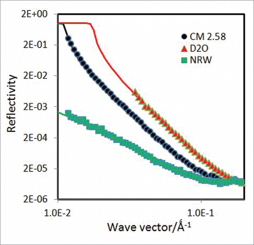 Figure 6. Reflectivity profiles measured from the adsorption of 50 ppm COE-3 on the surface of NRW, CM2.58 (contrast matched to mAb) and D2O at pH 5.5 (His buffer, ionic strength of 25 mM). The continuous line through the NRW profile represents the uniform layer with τ = 50 Å and ρ = 0.56 × 10−6 Å−2; part of the layer that stays out of the surface of the CM2.58 contrast water was measurable, with τ = 12 Å and ρ = 0.71 × 10−6 Å−2, showing the same volume fraction as that from the NRW profile. The D2O profile was fitted with τ1 = 12 Å and ρ1 = 0.90 × 10−6 Å−2 for the surface layer exposed to air and τ2 = 35 Å and ρ2 = 5.85 × 10−6 Å−2 for the remaining layer immersed in water; apart from the slightly higher SLD for the immersed layer, the fitting was entirely consistent with the other 2 contrasts.