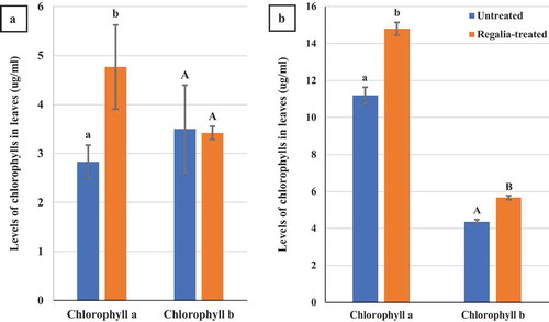 Fig. 10 Effect of four weekly applications of Regalia Maxx on mean chlorophyll a and b levels in leaves of: (a) indoor grown plants (n = 3) and (b) greenhouse grown plants (n = 5) compared to their respective controls. Levels of chlorophyll a were significantly increased in both trials, while chlorophyll b was increased in the greenhouse trial. Error bars are 95% confidence intervals. Letters above the error bars represent significant differences in chlorophyll levels, as determined through ANOVA and Tukey’s post hoc test (P < 0.05)