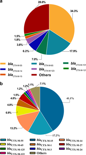 Fig. 4 The distribution of CTX-M types of ESBL-EC.a The distribution of CTX-M types of ESBL-EC of chicken origin in China. b The distribution of CTX-M types of ESBL-EC from the NCBI whole-genome sequencing database