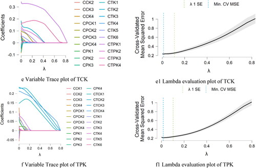Figure 4. (a) Variable trace plot of CK. (a1) Lambda evaluation plot of CK. (b) Variable trace plot of PK. (b1) Lambda evaluation plot of PK. (c) Variable trace plot of TK. (c1) Lambda evaluation plot of TK. (d) Variable trace plot of PCK. (d1) Lambda evaluation plot of PCK. (e) Variable trace plot of TCK. (e1) Lambda evaluation plot of TCK. (f) Variable trace plot of TPK. (f1) Lambda evaluation plot of TPK.