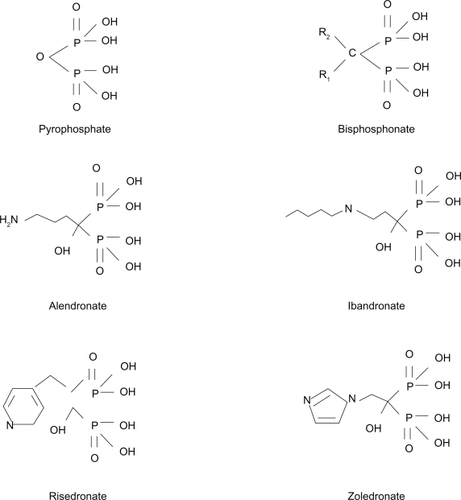 Figure 1 Molecular structure of pyrophosphate and of the most common nitrogen-containing bisphosphonates.
