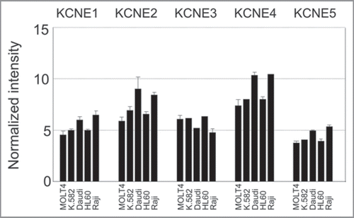 Figure 3 KCNE expression in different human leukemia and lymphoma cell lines. Array data from GNF BioGPS (http://biogps.gnf.org) normalized according to Su et al.Citation31 Legend: MOLT4, Lymphoblastic Leukemia; K.582, Chronic Myelogenous Leukemia; Daudi, Burkitt’s Lymphoma; HL60, Promyelocytic Leukemia; Raji, Burkitt’s Lymphoma.