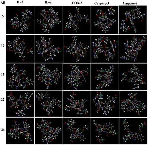 Figure 3. Show the best docking poses active compounds with contracted amino acid along with bonds and distance.