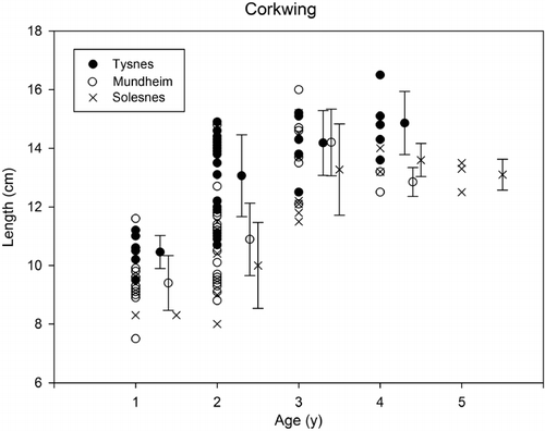 Figure 8. Age and length for corkwing wrasse (Symphodus melops) at the three locations Mundheim, Solesnes and Tysnes in the Hardangerfjord region in 2011. Vertical bars indicate standard deviations with symbols for means.