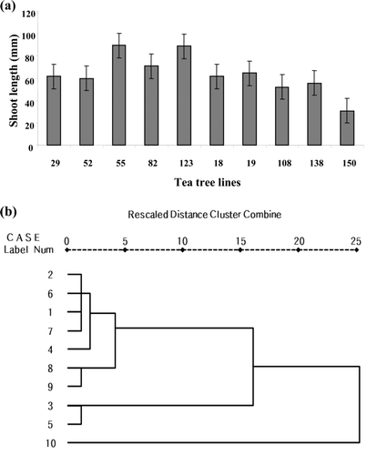 Figure 2. Morphology analysis from selected tea tree lines. (a) The average shoot length from selected tea tree lines. (b) The cluster analysis based on morphology analysis from selected tea tree lines. 1: HR-52, 2: HR-29, 3: HR-82, 4: HR-123, 5: HR-55, 6: HP-19, 7: HP-108, 8: HP-138, 9: HP-150 and 10: HP-18. This cluster analysis based on each variable was done by using the SPSS 17.0 statistics program.