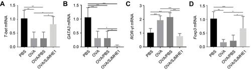 Figure 3 SJMHE1 treatment regulates the expression of transcription factor from lungs of allergic mice. On day 29, the mice were killed, and their lungs were tested for mRNA expression of T-bet (A), GATA3 (B), ROR-γt (C), and Foxp3 (D) by qRT-PCR. Results are presented as mean±SEM of 18 mice from three independent experiments performed in triplicate wells. *P < 0.05, ***P < 0.001.