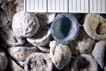 Figure 12. Close-up of organic material, pods found in Trench G (Danish-German Jerash North-west Quarter Project).