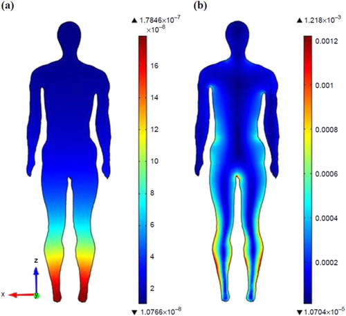 Figure 18. Distribution of induced EMFs inside the human body for the studied configuration. (a) Normalized magnetic flux density B (T); (b) normalized E-field (V/m).