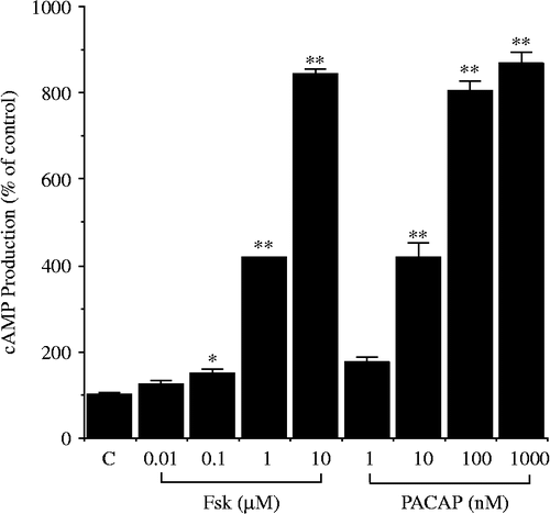 Figure 4.  Effects of PACAP on cAMP production in hypothalamic 4B cells. Cells were pre-incubated for 20 min with the medium containing 0.1 mM 3-isobutyl-1-methylxanthine, followed by the addition of forskolin (Fsk) or PACAP. The level of intracellular cAMP was measured by cAMP EIA; *P < 0.05 and **P < 0.005 (compared with control (C)). [Reproduced with permission from Kageyama et al. (Citation2007). Copyright © Society for Endocrinology.]