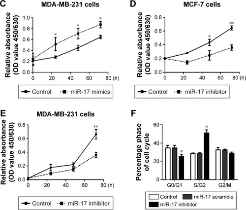 Figure 2 miR-17 regulated breast cancer cell proliferation and cell cycle arrest in vivo.
