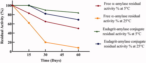 Figure 6. Storage stability of free and immobilized α-amylase (E-AC). Residual amylolytic activity was determined at different time intervals under standard assay conditions upon storage at 5 and 25 °C.