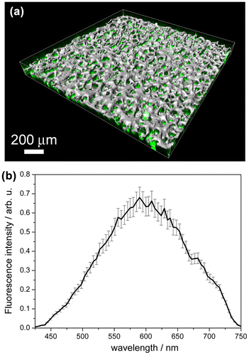 Figure 6. (a) 3D projection images of the hybrid ZnO@Cu80Ni20 nanocomposite isosurface view by Imaris v.6.2.0 software. The 3D representation was obtained from a 50-section stack in steps of 3 μm. CuNi MF shows as gray color (reflection mode) whereas the ZnO component shows as green color (fluorescence). (b) Fluorescence spectrum obtained with the Lambda scan module of CSLM at a 5 nm resolution. Abbreviation: au = arbitrary units.
