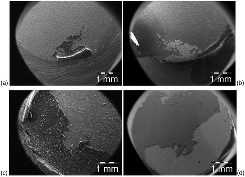 Figure 5. SEM images of the fracture surfaces of zirconia disc and rod specimens after shear bond testing measurements. Light areas are thin layers and darker areas are thicker layers of bonding resin cement. (a) SBS zirconia disc, contact area at the upper part; (b) SBS zirconia rod, contact area at the upper part; (c) EASS zirconia disc, contact area; (d) EASS zirconia rod, contact area.