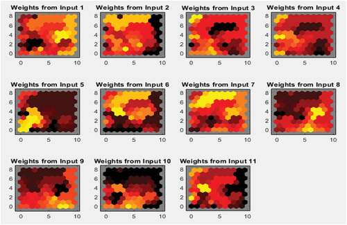 Figure 14. The weights of the eleven potential red flags.