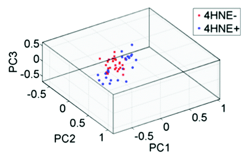 Figure 3. Unsupervised exploratory analyses by principal component analysis (PCA) of infrared (IR) spectra (1450 cm−1–900 cm−1) derived from 4-hydroxy-2-nonenal (4HNE) immunopositive (4HNE+) (n = 4) vs. 4HNE− immunonegative (4HNE−) (n = 5) terminal lobular ductal units (TDLUs). Tissue sections were categorized as 4HNE+ and 4HNE− as described in Methods and in legends to Figures 1 and 2. IR spectra were obtained from 4HNE+ and 4HNE− ME cells within the two classes of TDLUs (n = 540 total), giving n = 240 for 4HNE+ and n = 300 for 4HNE−. Spectra from 4HNE− TDLUs formed a single cluster of points in the PCA scores plot (red symbols), whereas those derived from 4HNE+ TDLUs formed two distinct clusters (blue symbols).