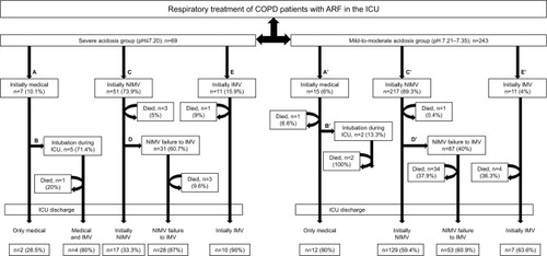 Figure 2 The treatment of COPD patients with ARF in the ICU in the severe and mild-to-moderate acidosis groups.