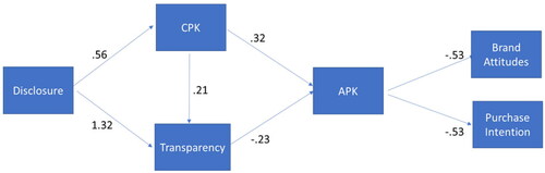 Figure 3. Results for the subsample. CPK is conceptual persuasion knowledge; APK is attitudinal persuasion knowledge; only effects with p < .10 are shown.