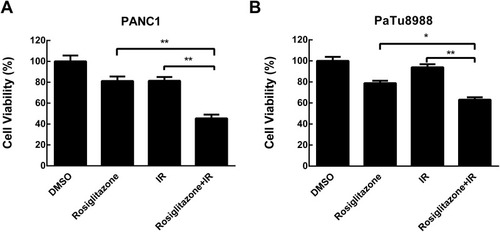 Figure 2 Rosiglitazone inhibited the viability of pancreatic cancer cells. (A) PANC1 and (B) PaTu8988 cells were treated with DMSO or 40 µM rosiglitazone in combination with 0 or 4 Gy irradiation for 48 hrs; 40µM rosiglitazone plus 4 Gy irradiation inhibited cell viability significantly compared with either rosiglitazone or radiation treatment alone. Data are presented as the mean ± SEM for triplicate experiments. Statistical analysis between the groups was determined by ANOVA; *P < 0.05, **P < 0.01.