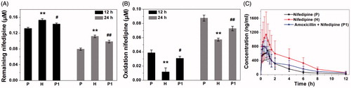 Figure 4. Nifedipine-metabolizing activities of rat fecal samples (P: plain rats; H: plateau hypoxia rats; P1: amoxicillin-treated rats.). A: the remaining amount of nifedipine after incubation for 12 and 24 h, B: formation of the oxidation nifedipine following incubation for 12 and 24 h. Data are expressed as mean ± standard deviation. C: Mean plasma concentration–time curve of nifedipine in rats at three groups. *p < .05, **p < .01 comparing with P. #p < .05, ##p < .01 comparing with P.
