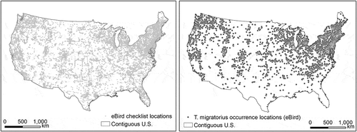 Figure 1. eBird checklist locations and occurrence locations of T. migratorius in June 2012.