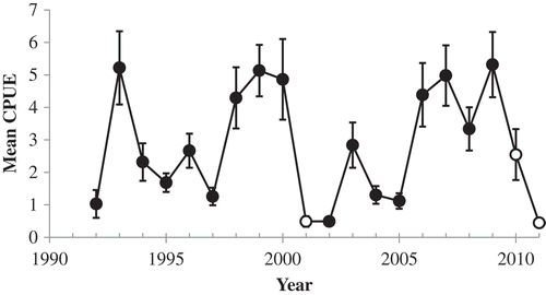 Figure 2. Mean CPUE (number per trammel net haul) of Spotted Seatrout in SCDNR’s trammel net surveys in the Charleston Harbor system during the first quarter of each year. Open circles indicate sampling years immediately following cold winters; error bars = SEs.