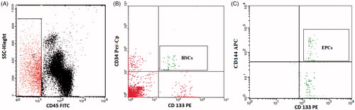 Figure 1. Flow cytometric detection of the circulating hematopoietic stem cell (HSCs), and the circulating endothelial progenitor cells (EPCs). (A) The analysis gate (R1) included CD45− cells. (B) The expression of CD34 and CD133 was assessed on CD45− cells to detect hematopoietic stem cells (HSCs). (C) Then, the expression of CD144 on hematopoietic stem cells (HSCs) was assessed to detect endothelial progenitor cells (EPCs).