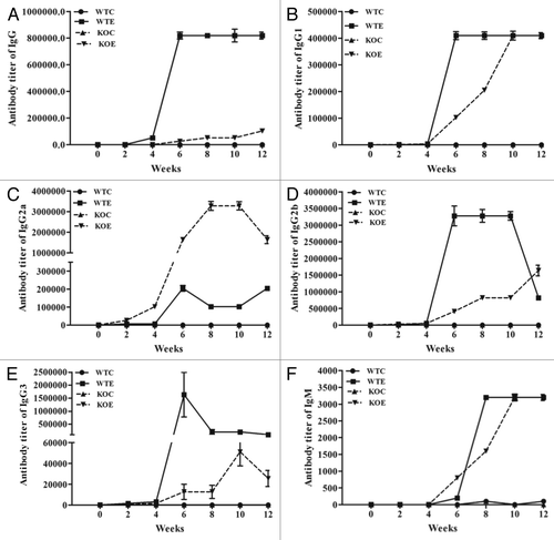 Figure 2. Sm-p80 specific antibody titers in immunized mice. The experimental groups (immunized with rSm-p80 formulated in ODN) elicited strong humoral immune responses. The titers of IgG (A), IgG1(B), IgG2a (C), IgG2b (D), IgG3 (E), and IgM (F) in experimental groups were found to be higher compared with their respective control groups. All of the values represent as mean of three experiments ± standard deviation. WTC, wild type control group; WTE, wild type experimental group; KOC, C3 knockout control group; KOE, C3 knockout experimental group.