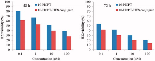 Figure 1. Cell viability of H22 liver call after 48 and 72 h cultured with the 10-HCPT-HES conjugate and free 10-HCPT at various 10-HCPT concentrations.