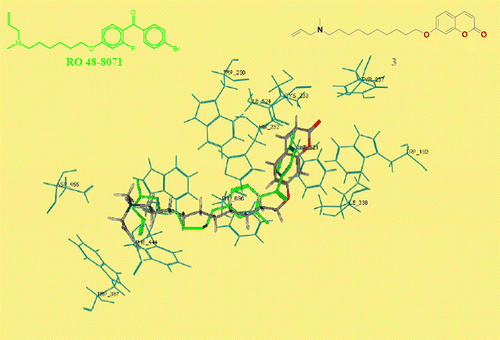 Figure 5.  OSC residues interacting with the compound 3.  (in sticks) in the docking model. For comparison, the reference inhibitor Ro 48-8071 in the minimized model, as derived from X-ray [Citation7], is also reported.