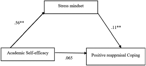 Figure 7. Stress mindset mediates the association between academic self-efficacy and positive reappraisal coping style.
