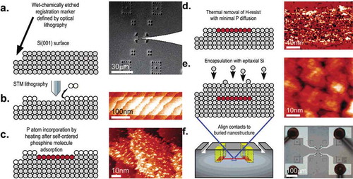 Figure 5. Schematic of STM-based hydrogen lithography process. Figure a-f illustrate the creation of phosphorus atomic devices in silicon. Adopted from ref [Citation43]