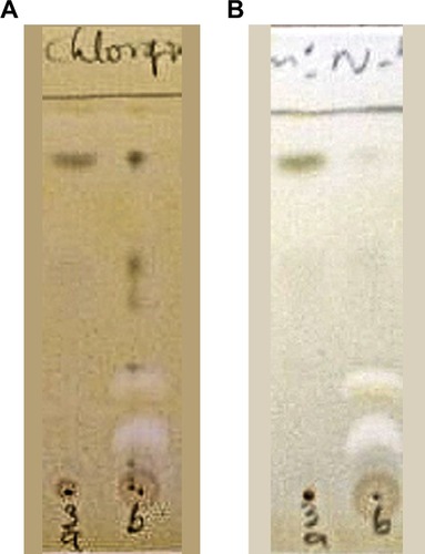 Figure 2 TLC bioautographic assay of precipitate and supernatant.