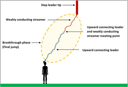 Figure 1. Leader development scenario prior to the final jump.