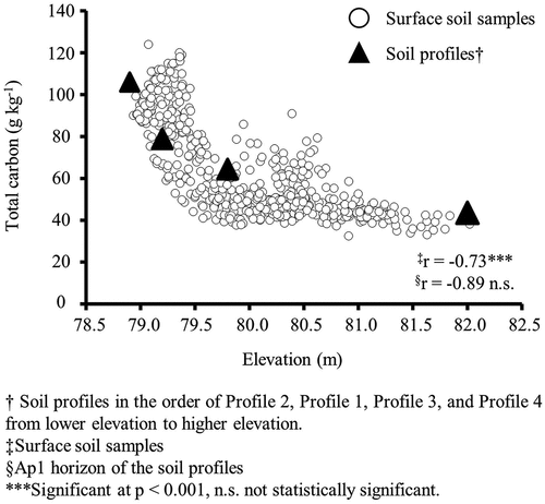 Figure 4. The relationship between elevation and total carbon for both surface as well as the Ap1 horizon of the soil profiles.