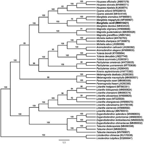 Figure 1. Maximum-likelihood (ML) phylogenetic tree based on complete cp genomes. Numbers close to each node are bootstrap support values.