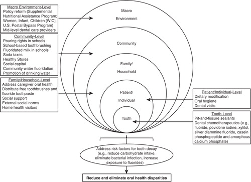 Fig. 3 Conceptual model of potential multilevel strategies to address risk factors for tooth decay and reduce Alaska Native children's oral health disparities.