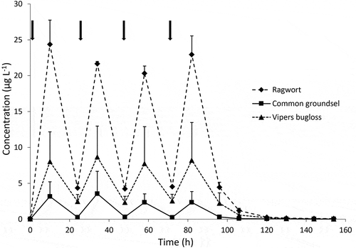 Figure 2. Total PA concentrations in milk of dairy cows. Animals were treated after milking in the morning on days 1, 2, 3 and 4 (time points of administration are indicated with arrows) with 200 g of ragwort mixture, common groundsel or viper’s bugloss. Average ± SD of three cows