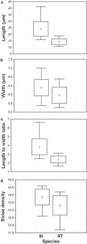 Fig. 59. Box-plot diagrams showing variation in valve length (A), width (B), length-to-width ratio (C), and striae density (D) of S. inflata (SI) and S. tabellaria (ST). Point represents mean, whiskers indicate max and min of the data.