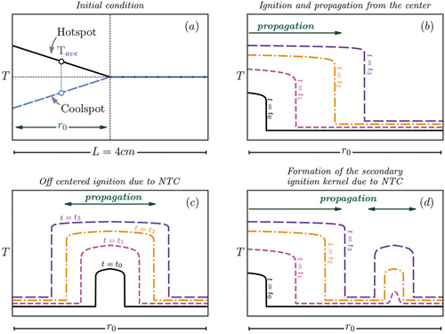 Figure 1. A schematic presentation of the combustion process shows, a) hotspot/coolspot initial T profile, b) centered ignition and regular propagation inside the hotspot/coolspot, c) off-centered primary ignition due to NTC and double ignition front propagation, and d) occurrence of primary ignition and subsequently, formation of the secondary ignition kernel due to NTC.
