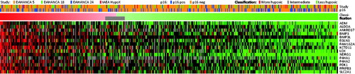 Figure 4. Classification of 510 independent samples from DAHANCA 5, 18, 24, and IAEA HypoX. Gene expression levels are shown as heatmap (each gene centered on the mean of the values characterizing ‘more’ and ‘less’ hypoxic tumors).